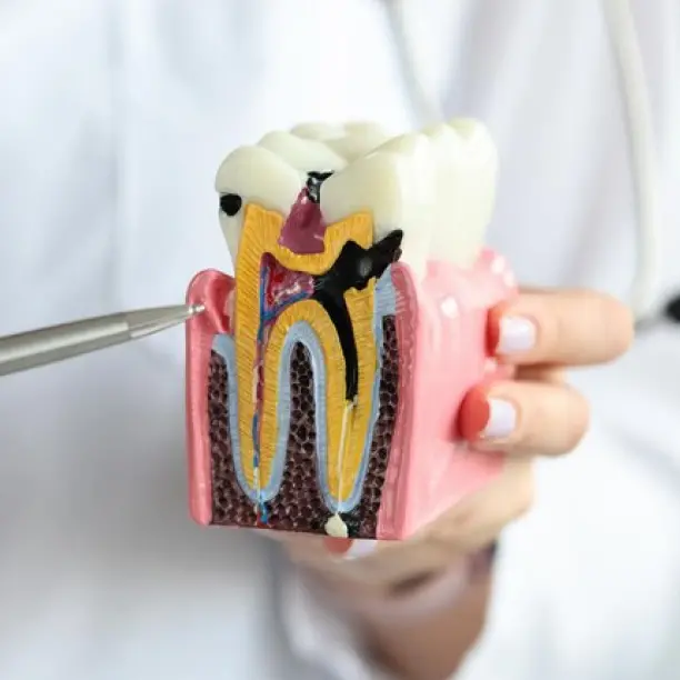 Консультация 1